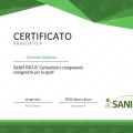Ingrandire l'immagine: certificate 4