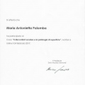 Ingrandire l'immagine: certificate 68