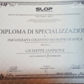 Ingrandire l'immagine: certificate 2