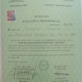 Ingrandire l'immagine: certificate 9