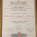 Ingrandire l'immagine: certificate 1