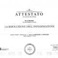Ingrandire l'immagine: certificate 4