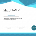Ingrandire l'immagine: certificate 14