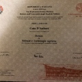 Ingrandire l'immagine: certificate 2
