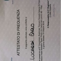 Ingrandire l'immagine: certificate 28
