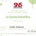 Ingrandire l'immagine: certificate 8