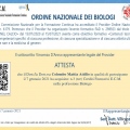 Ingrandire l'immagine: certificate 7