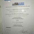 Ingrandire l'immagine: certificate 1