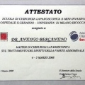 Ingrandire l'immagine: certificate 3