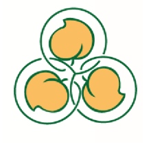 Centro Medico Chirurgico Ischia