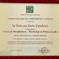 Ingrandire l'immagine: certificate 1