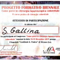 Ingrandire l'immagine: certificate 7