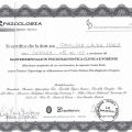 Ingrandire l'immagine: certificate 19