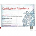 Ingrandire l'immagine: certificate 4