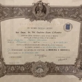 Ingrandire l'immagine: certificate 1