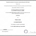 Ingrandire l'immagine: certificate 7