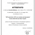 Ingrandire l'immagine: certificate 3