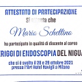 Ingrandire l'immagine: certificate 2