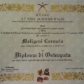 Ingrandire l'immagine: certificate 2