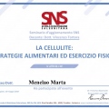 Ingrandire l'immagine: certificate 12