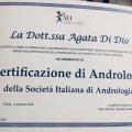 Ingrandire l'immagine: certificate 1