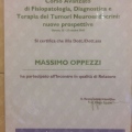 Ingrandire l'immagine: certificate 1