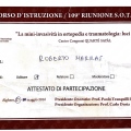 Ingrandire l'immagine: certificate 8