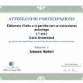 Ingrandire l'immagine: certificate 5