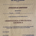 Ingrandire l'immagine: certificate 1