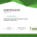 Ingrandire l'immagine: certificate 6