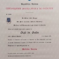 Ingrandire l'immagine: certificate 4