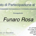 Ingrandire l'immagine: certificate 10