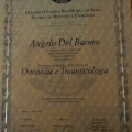 Ingrandire l'immagine: certificate 1