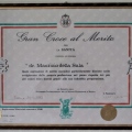 Ingrandire l'immagine: certificate 1