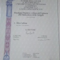 Ingrandire l'immagine: certificate 1