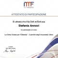 Ingrandire l'immagine: certificate 4