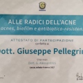Ingrandire l'immagine: certificate 4