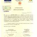 Ingrandire l'immagine: certificate 9