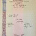 Ingrandire l'immagine: certificate 2