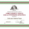 Ingrandire l'immagine: certificate 13