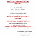 Ingrandire l'immagine: certificate 2