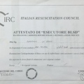 Ingrandire l'immagine: certificate 1