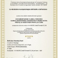 Ingrandire l'immagine: certificate 3
