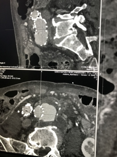 Mario De Laurentis-4