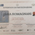 Ingrandire l'immagine: certificate 1