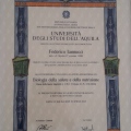 Ingrandire l'immagine: certificate 1