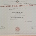 Ingrandire l'immagine: certificate 1