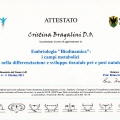 Ingrandire l'immagine: certificate 10