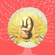 Ingrandire l'immagine: Annachiara Nicodemo, ostetrica Napoli