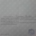 Ingrandire l'immagine: certificate 15